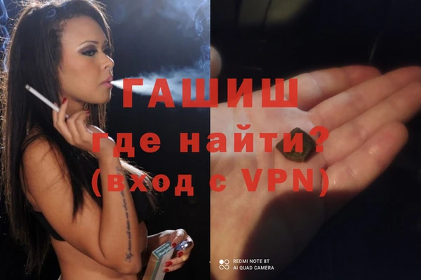 сатива Новозыбков