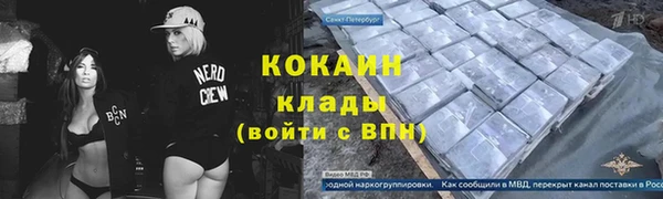 мдпв Няндома