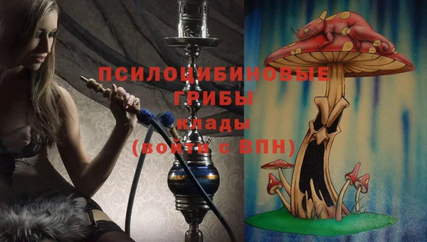 мдпв Няндома
