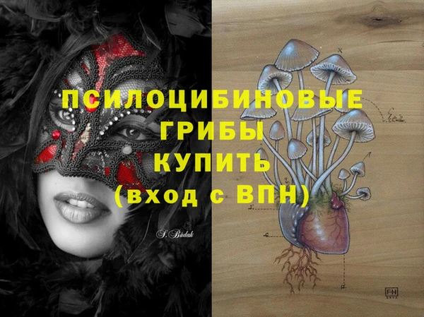 винт Нягань
