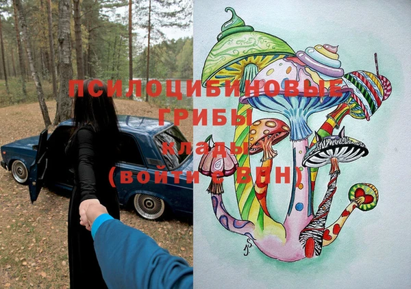 винт Нягань