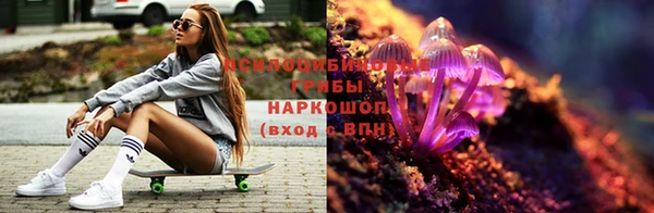 винт Нягань