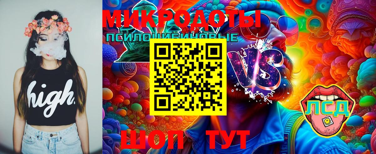 Галлюциногенные грибы прущие грибы  Псилоцибиновые грибы Psilocybe  Богородск 