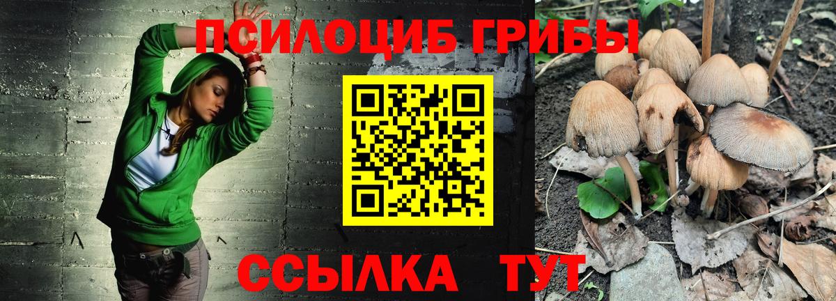 Галлюциногенные грибы Psilocybine cubensis Богородск