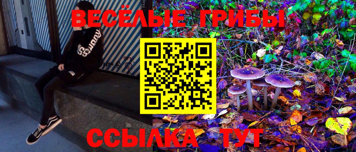 закладки  Вход с VPN  Богородск  Галлюциногенные грибы GOLDEN TEACHER 