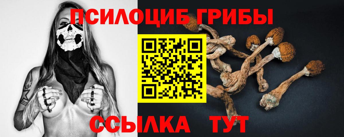Галлюциногенные грибы GOLDEN TEACHER Богородск
